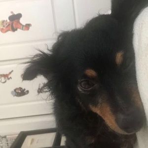 Meet your Posher, Jade